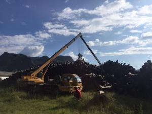 錦程在線服務(wù)完成中緬邊境原木材運(yùn)輸項(xiàng)目