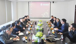 中新（重慶）戰(zhàn)略性互聯(lián)互通示范項(xiàng)目公司領(lǐng)導(dǎo)來(lái)訪